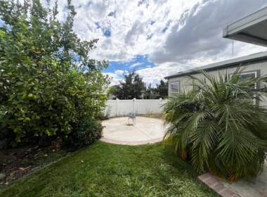 Back Yard 1